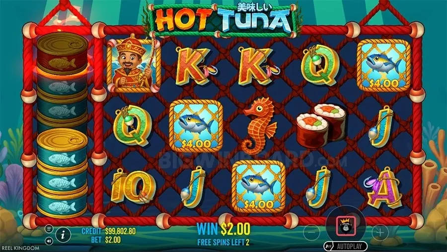 Nustar sports betting expansion