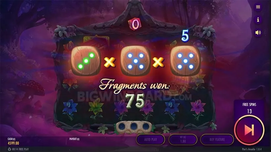 Live Casino Beginner's Guide